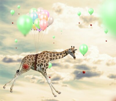 Papier peint  Une girafe volant au milieu de ballons colorés