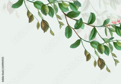 Papier peint  Une grande brindille avec des feuilles vertes