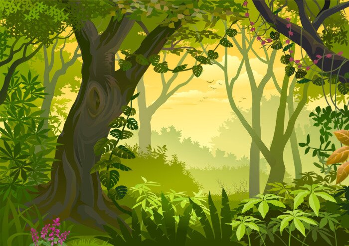 Papier peint  Une jungle graphique pour les enfants