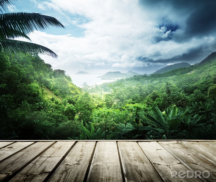 Papier peint  Une jungle verte sans fin