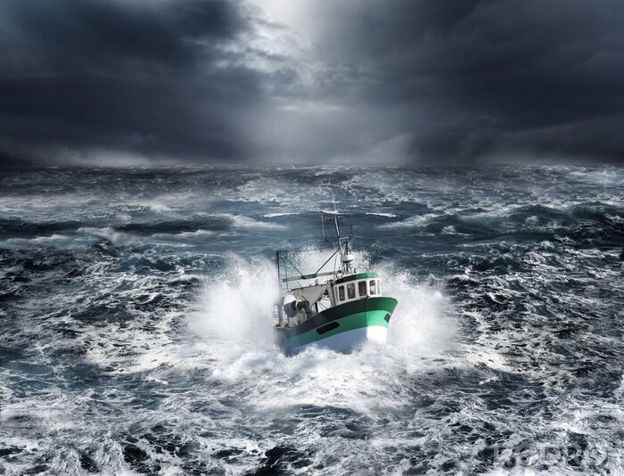 Papier peint  Une nature puissante