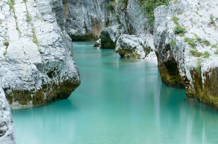 Papier peint  Une nature vierge