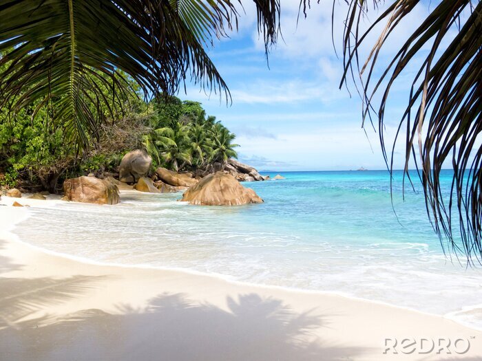 Papier peint  Une plage paradisiaque au bord de la mer