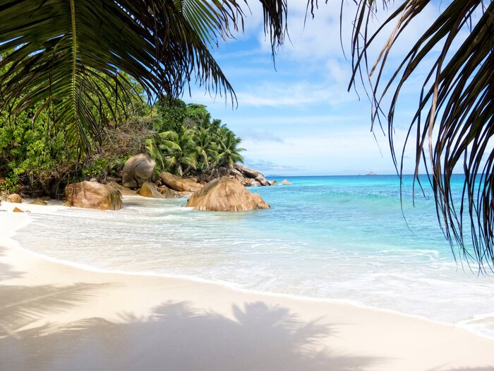 Papier peint  Une plage paradisiaque au bord de la mer