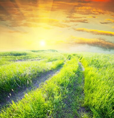 Papier peint  Une route dans un champ et le soleil