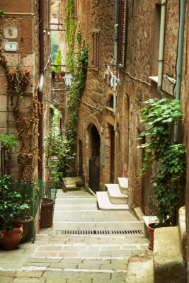 Papier peint  Une ruelle avec des plantes en Italie