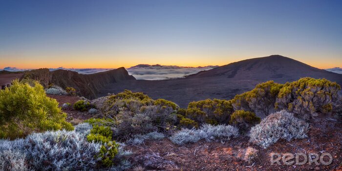 Papier peint  Une végétation luxuriante dans les montagnes