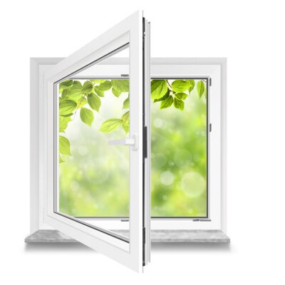 Papier peint  Une vue à travers une fenêtre blanche sur des feuilles