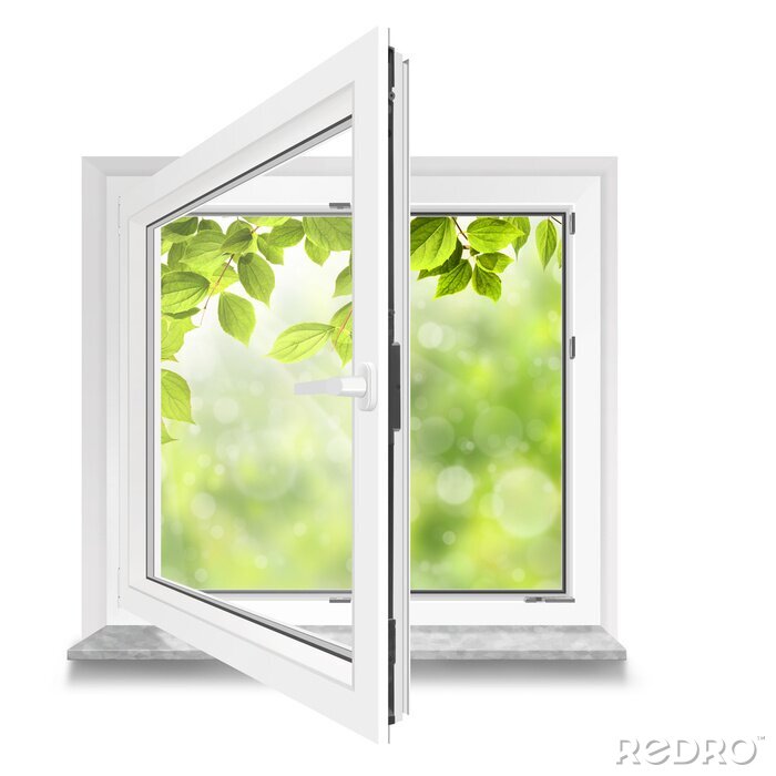 Papier peint  Une vue à travers une fenêtre blanche sur des feuilles