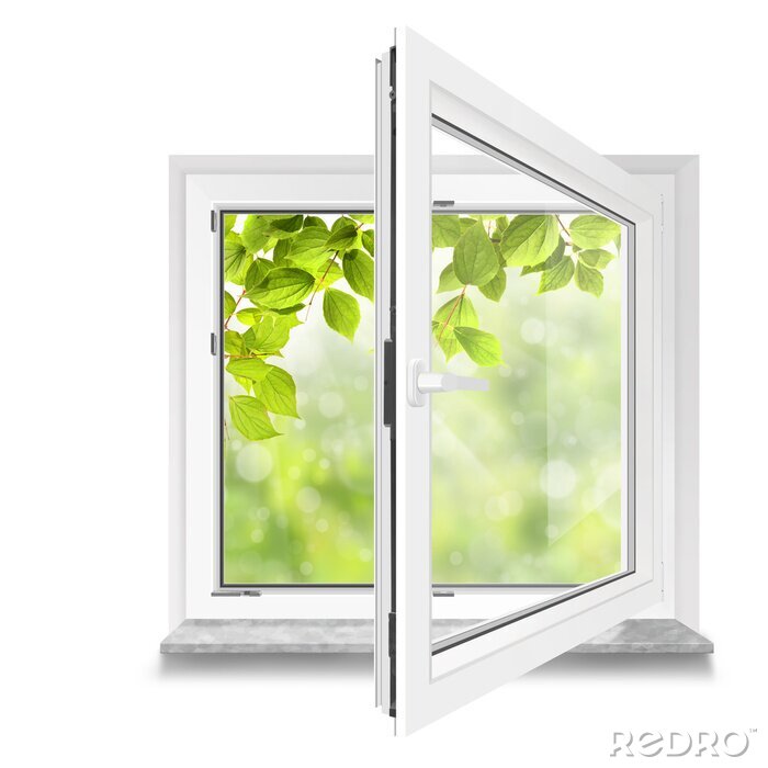 Papier peint  Une vue à travers une fenêtre sur des feuilles vertes