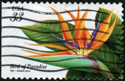 Papier peint  UNITED STATES - CIRCA 1999: A stamp printed in United States shows flower Bird of Paradaise - Strelitzia reginae, circa 1999