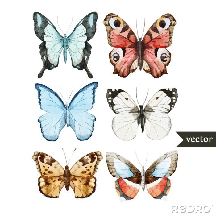 Papier peint  Variétés de papillons pastel