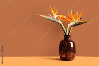 Papier peint  Vase with beautiful strelitzia flowers on color background
