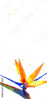 Papier peint  Vecteur, fond, Strelitzia, fleur