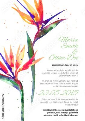 Papier peint  Vecteur, fond, Strelitzia, fleur