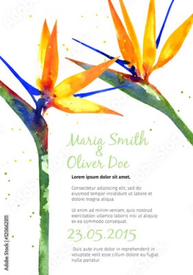 Papier peint  Vecteur, fond, Strelitzia, fleur