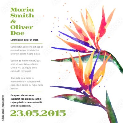 Papier peint  Vecteur, fond, Strelitzia, fleur