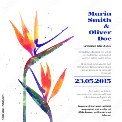 Papier peint  Vecteur, fond, Strelitzia, fleur