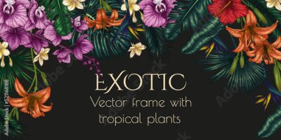 Papier peint  Vector banner template of exotic plants. Graphic linear colored tropical flowers and leaves. Monstera, plumeria, orchid, palm and banana leaves, hibiscus, aralia, tiger lily, strelitzia