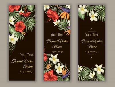 Papier peint  Vector bookmarks with green tropical leaves, plumeria, strelitzia and hibiscus flowers on black background. Summer or spring tropical vertical templates. Trendy exotic jungle design