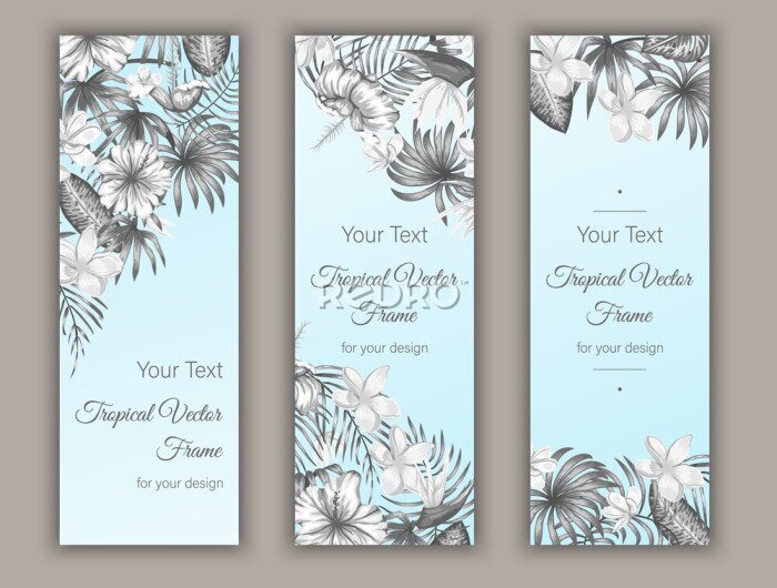 Papier peint  Vector bookmarks with tropical leaves, plumeria, strelitzia and hibiscus flowers on blue background. Summer or spring tropical vertical templates. Trendy exotic jungle design