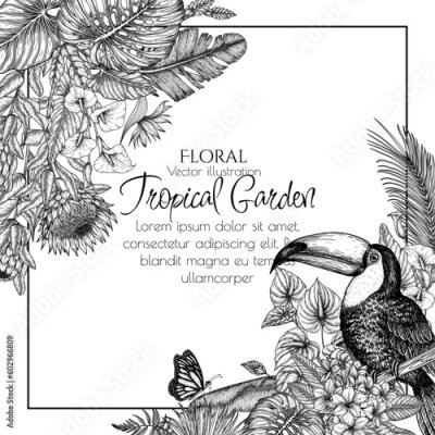 Papier peint  Vector border of a toucan bird in a tropical garden in an engraving style. Anthurium, palm and banana leaves, liviston, plumeria, zantedeschia, monstera, strelitzia
