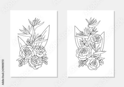 Papier peint  vector coloring book strelitzia rose flower berry bouquet composition outline illustration