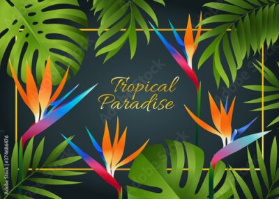 Papier peint  Vector design with exotic palm leaves and colorful strelitzia flowers on dark background
