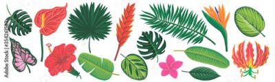 Papier peint  vector drawing exotic flowers