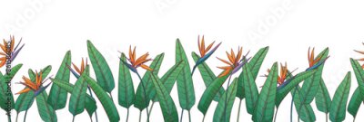 Papier peint  Vector floral background with tropical leaves and flower of strelitzia. Foliage border. Illustration of field of bird-of-paradise for design of banner, poster, cards, decoration of room, for design