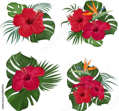Papier peint  Vector Floral Collection. Juicy monster leaves, palm trees, red hibiscus, strelitzia flower. Floral compositions on white background 