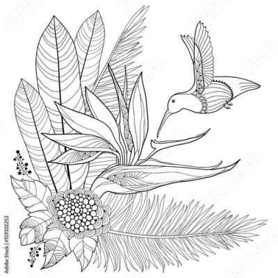 Papier peint  Vector Flying Hummingbird ou Colibri, Strelitzia reginae, feuille de palmier en style contour isolé sur fond blanc. Découverte d'oiseaux tropicaux et de fleurs exotiques ornées pour la conception et l