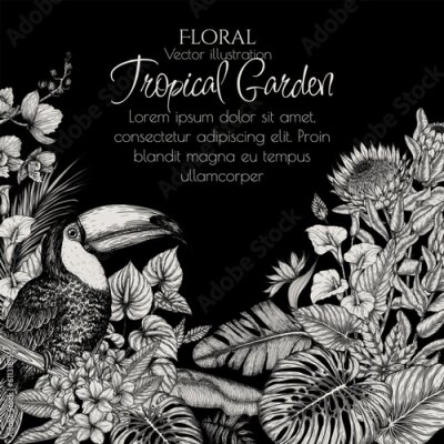 Papier peint  Vector frame of a toucan bird in a tropical garden in an engraving style. Anthurium, palm and banana leaves, liviston, plumeria, zantedeschia, monstera, strelitzia