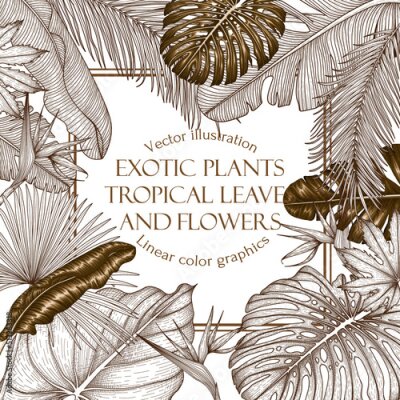 Papier peint  Vector frame of graphic, linear and gold tropical plants. Strelitzia, palm and banana leaves, monstera, elephant ear leaf, aralia in engraving style