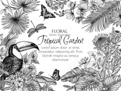 Papier peint  Vector frame of toucan bird in tropical garden in engraving style. Anthurium, palm and banana leaves, liviston, plumeria, zantedeschia, monstera, strelitzia, orchid, ptorea, butterflies