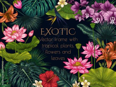 Papier peint  Vector frame with tropical plants. Graphic linear colored tropical flowers and leaves. Monstera, lotus, plumeria, orchid, palm and banana leaves, hibiscus, aralia, tiger lily, strelitzia