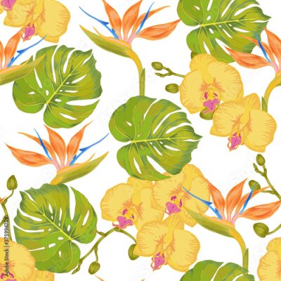 Papier peint  Vector green tropical monstera leaf, strelitzia flower, orchid flower, ravenala tree, fan palm Hawaiian seamless pattern
