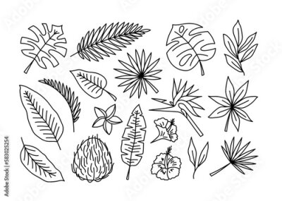 Papier peint  Vector hand drawn summer tropical leaves and flowers line doodles set. Palm leaves, coconut and plumeria isolated. Hibiscus and bird of paradise flowers. Strelitzia, monstera and elephant ear leaves