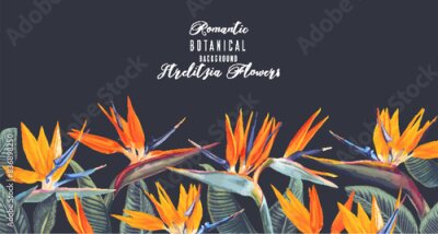 Papier peint  Vector horizontal border with tropical Strelitzia flowers and leaves isolated on dark background. Summer theme background, realistic style design. Greetings, invitations, template place for text