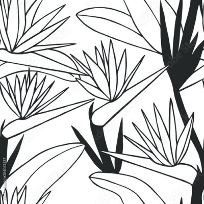 Papier peint  vector illustration eps10. Strelitzia flower. hand drawing