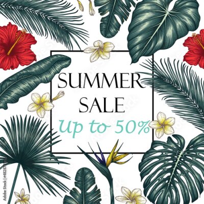 Papier peint  Vector illustration frame banner template sale. Graphic colored tropical leaves. Palm leaves, hibiscus, monstera, plumeria, banana leaves, strelitzia, aralia, elephant ear leaves