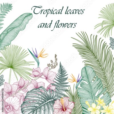 Papier peint  Vector illustration frame graphic linear colored tropics. Orchid, palm leaves, hibiscus, monstera, plumeria, banana leaves, fern, strelitzia