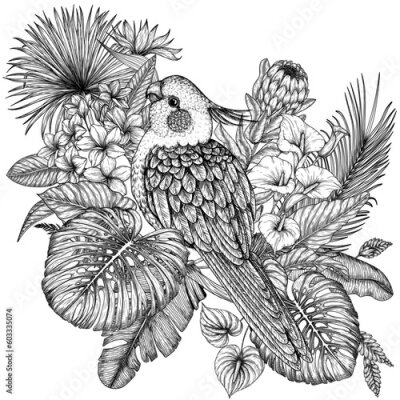 Papier peint  Vector illustration of a cockatiel parrot bird in a tropical garden in an engraving style. Anthurium, palm and banana leaves, liviston, plumeria, zantedeschia, monstera, strelitzia