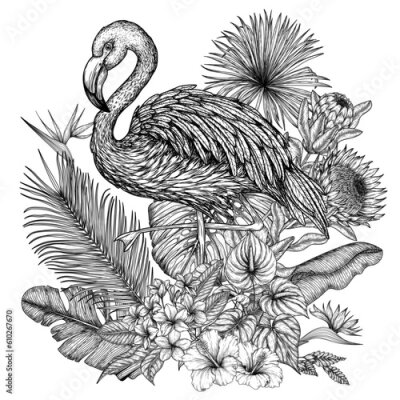 Papier peint  Vector illustration of a Flamingo bird in a tropical garden in an engraving style. Palm and banana leaves, liviston, plumeria, monstera, strelitzia, hibiscus