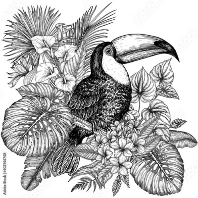 Papier peint  Vector illustration of a toucan bird in a tropical garden in an engraving style. Anthurium, palm and banana leaves, liviston, plumeria, zantedeschia, monstera, strelitzia