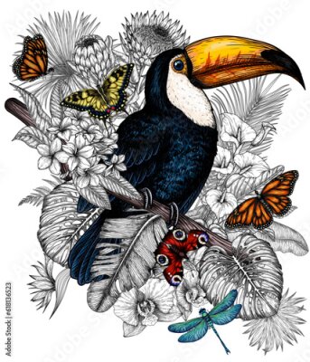 Papier peint  Vector illustration of a toucan bird in a tropical garden with butterflies in an engraving style. Anthurium, palm and banana leaves, liviston, plumeria, zantedeschia, monstera, strelitzia