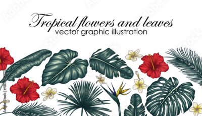 Papier peint  Vector illustration of colored tropical flowers and leaves. Hibiscus, palm leaves, monstera, plumeria, strelitzia, banana leaves, aralia, elephant ear leaves
