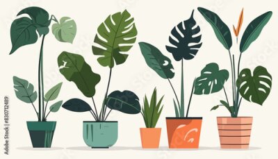 Papier peint  Vector Illustration of Indoor Plants in Trendy Colors