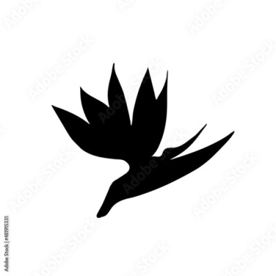 Papier peint  Vector illustration of strelitzia flower. Strelitzia silhouette isolated on white background. Bird of paradise, crane lily. Doodle style, flower icon.