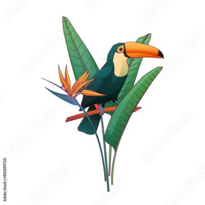 Papier peint  Vector illustration of strelitzia plant. Flower of bird in paradise plant. Ramphastos bird.